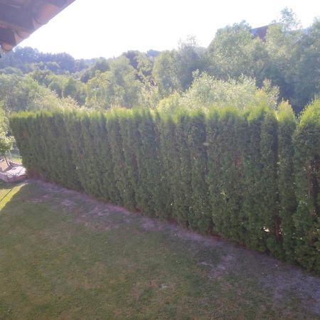 Pensiunea Floro Intorsura Buzaului Luaran gambar