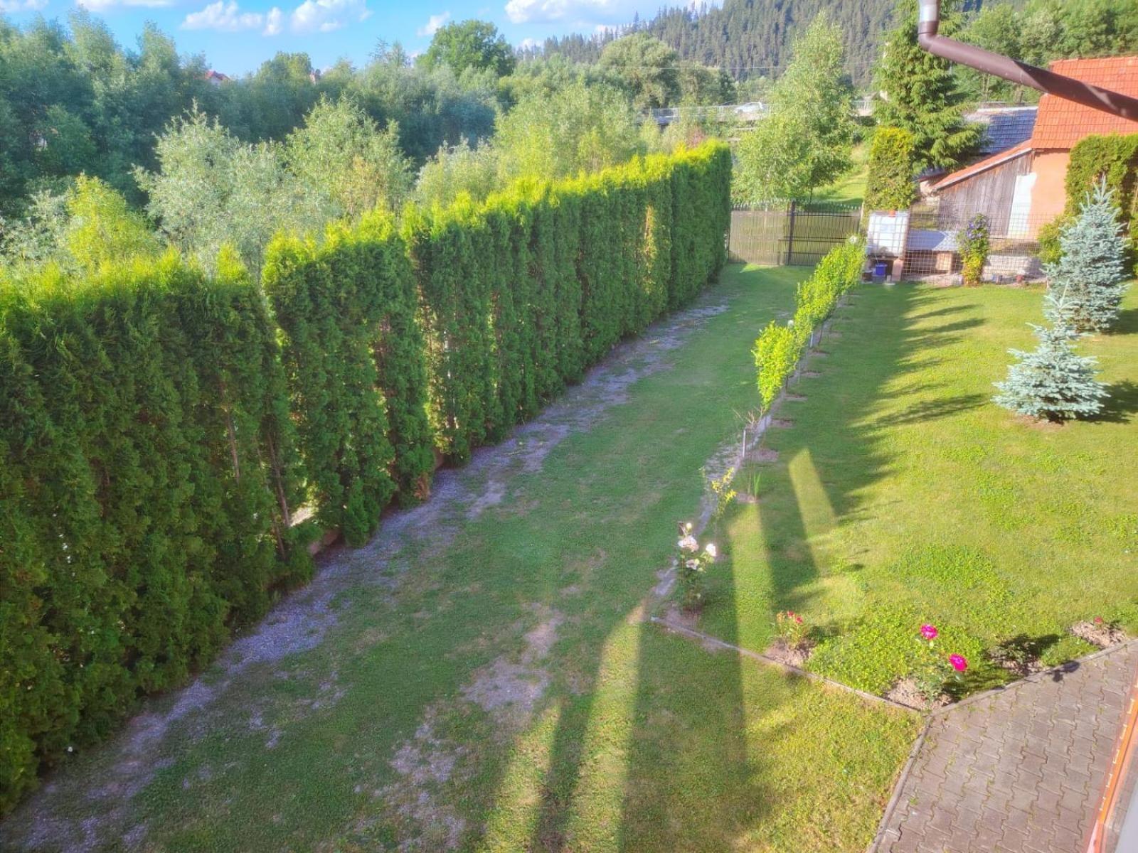 Pensiunea Floro Intorsura Buzaului Luaran gambar